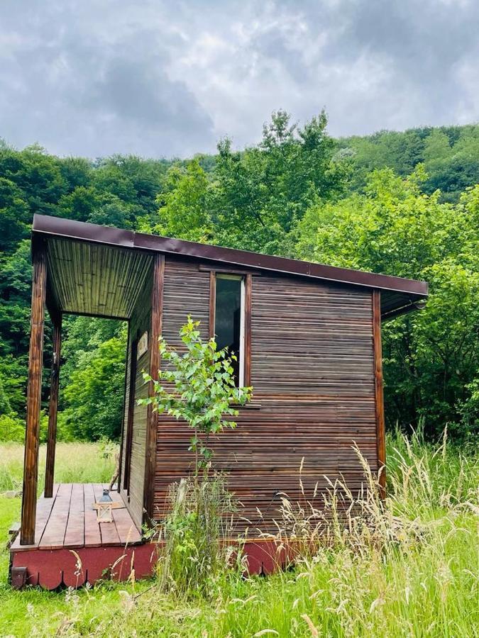 מלון Buchin Retreat In Padure מראה חיצוני תמונה