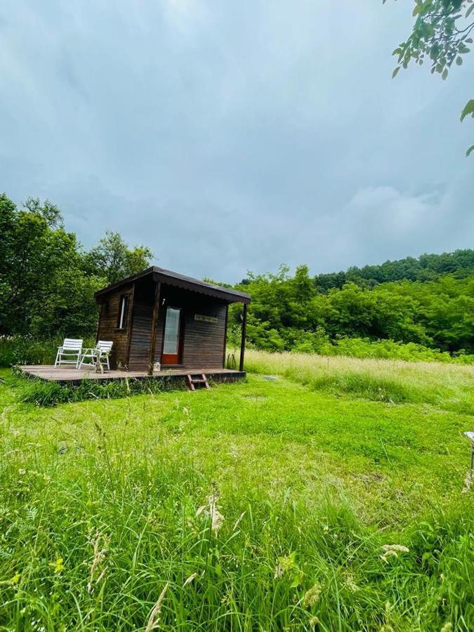 מלון Buchin Retreat In Padure מראה חיצוני תמונה