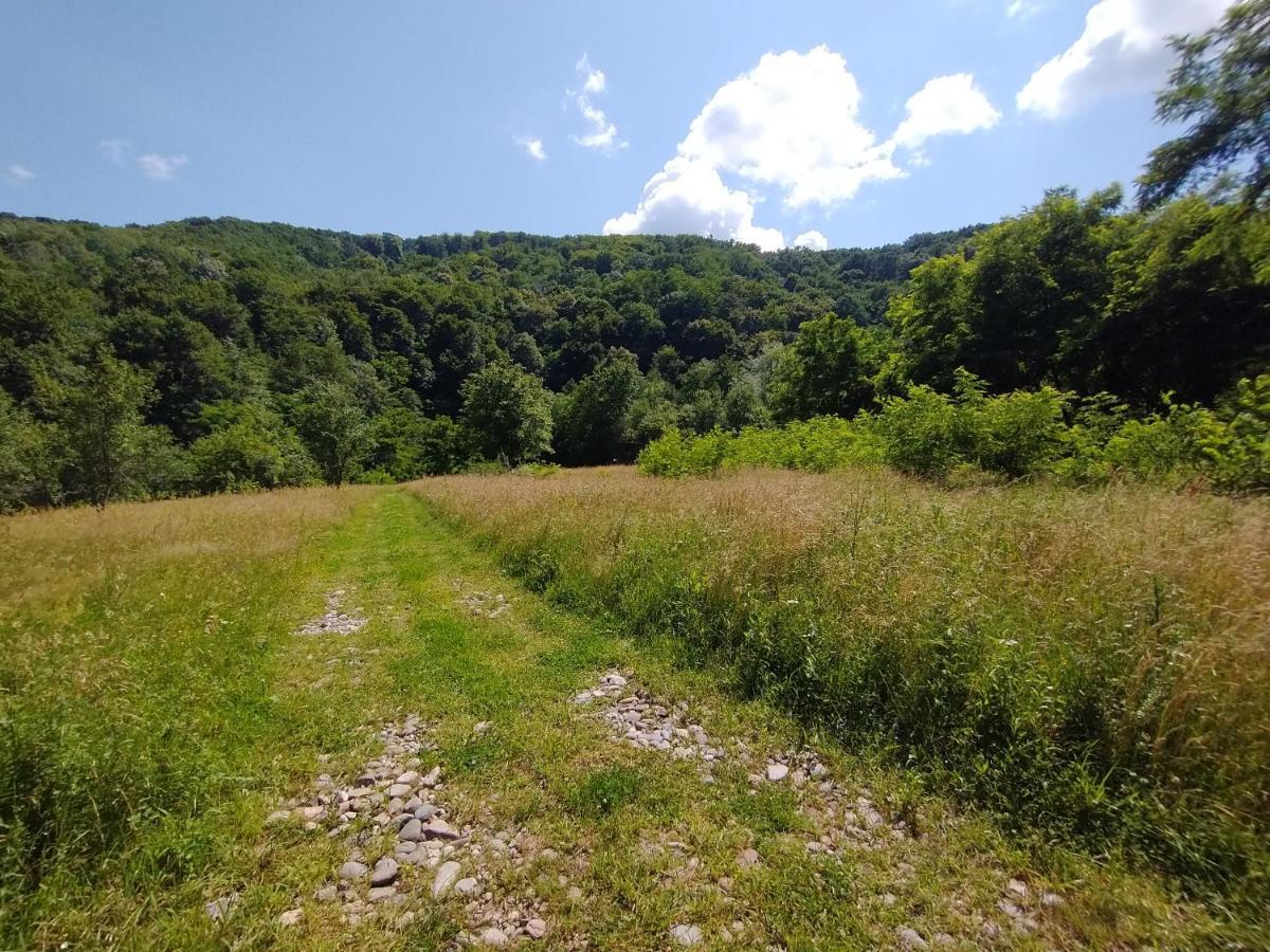 מלון Buchin Retreat In Padure מראה חיצוני תמונה