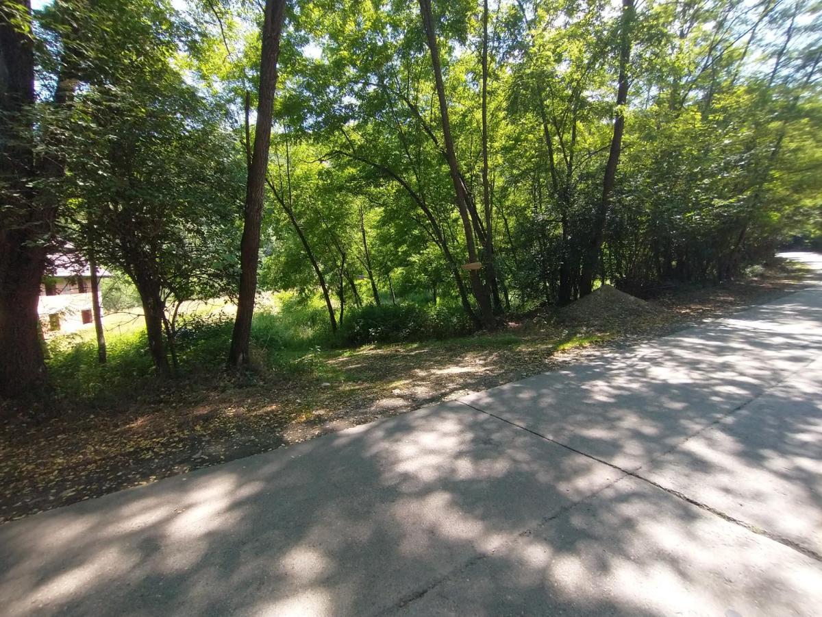 מלון Buchin Retreat In Padure מראה חיצוני תמונה