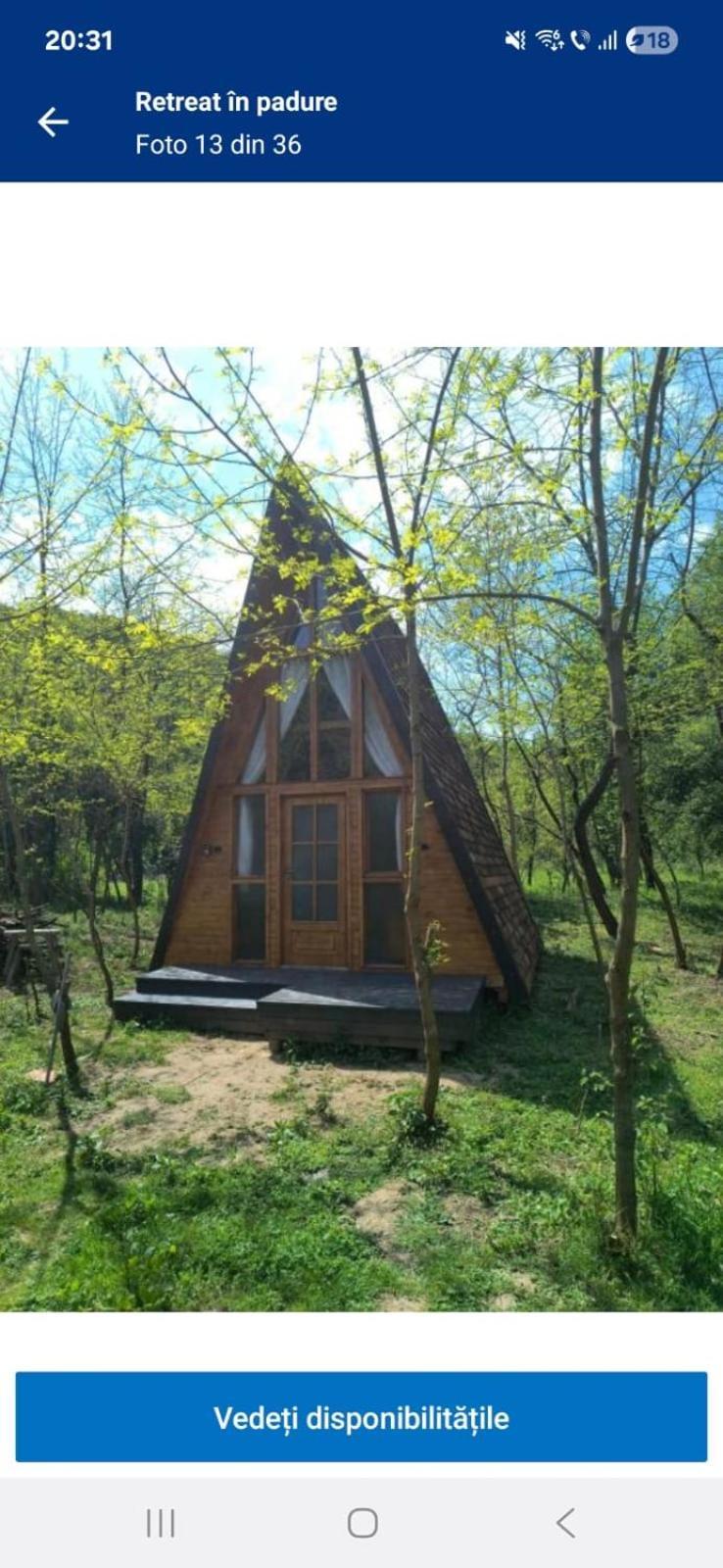 מלון Buchin Retreat In Padure מראה חיצוני תמונה